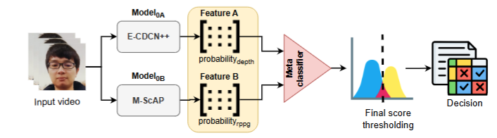 DepthPulse+ method combining depth and physiological model outputs for a final decision